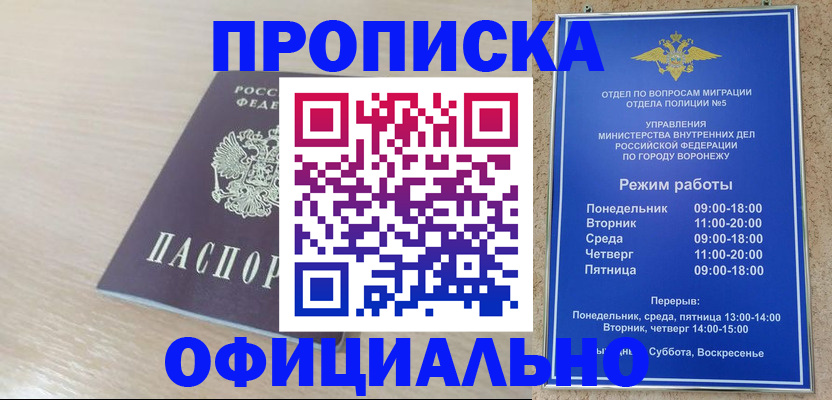 прописка в квартире в Лосино-Петровском
